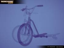 Mongoose BikeBoard™